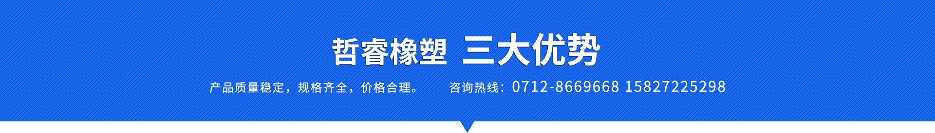 湖北哲睿橡塑科技有限公司开云 开云体育官网