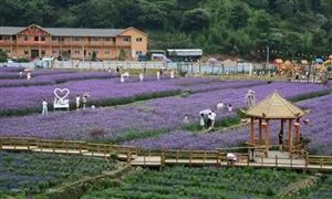 2021橡胶制品行业发展趋势及市场前景规模分析(图3)