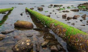 2022年塑胶跑道行业发展前景及市场容量分开云体育 kaiyun.com 官网入口析(图5)