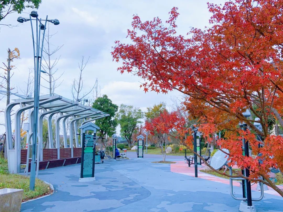 喜欢球类运动?环城水系的这处驿站不容错过开云APP 开云官网入口(图4) 喜欢球类运动?环城水系的这处驿站不容错过开云APP 开云官网入口(图4)