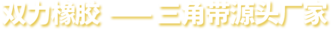 河南双力橡胶股份有限开云 开云体育公司(图2)