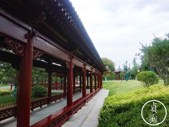 感谢环城北苑的塑胶跑道没让我开云 开云体育平台的减肥半途而废(图4)