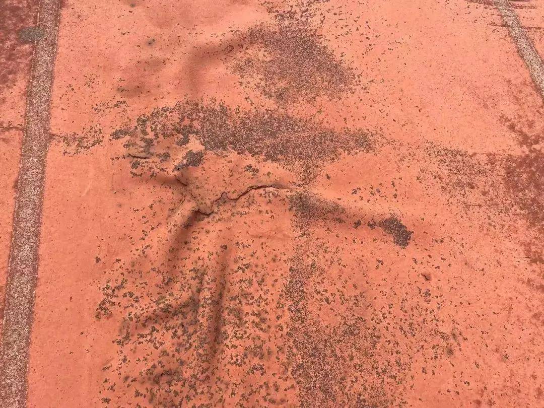 开云体育 开云官网震惊！江西赣州市体育中心塑胶跑道破损严重