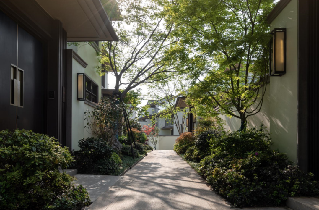 Kaiyun 开云三年打磨绿城给衢州带来一场现象级交付(图6) Kaiyun 开云三年打磨绿城给衢州带来一场现象级交付(图6)