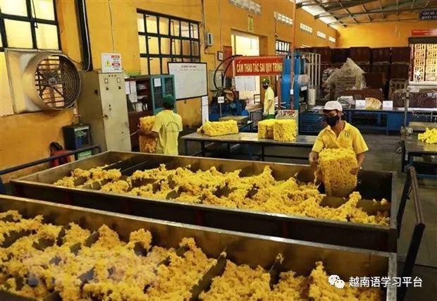 开云体育 kaiyun.com 官网入口许多德国橡胶公司和集团希望扩大对越南的合作