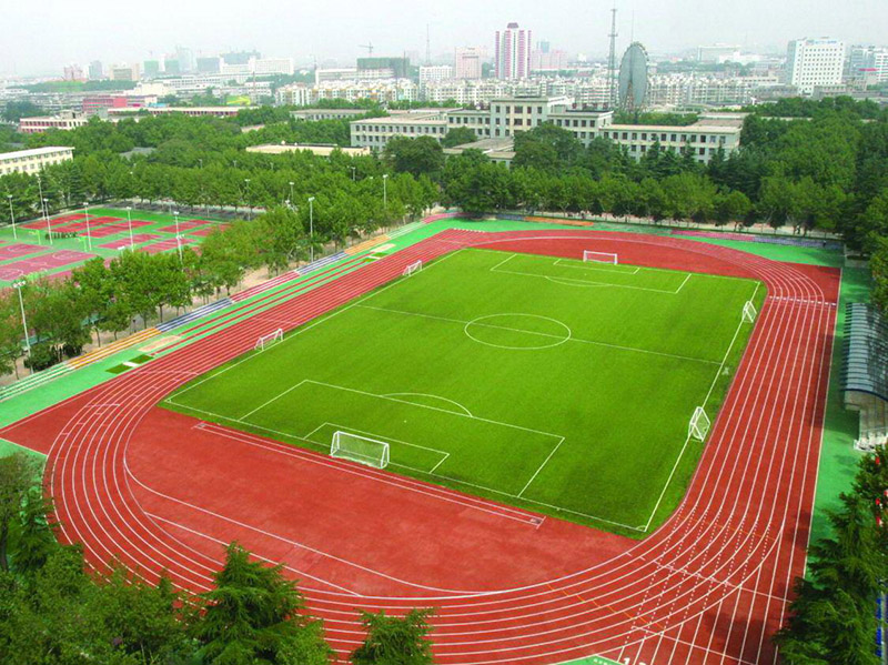 开云体育 开云官网塑胶跑道-广西舒华体育(图6) 开云体育 开云官网塑胶跑道-广西舒华体育(图6)