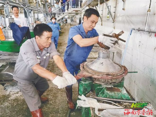 开展橡胶原料进口加工业务！海南橡胶金橡公司：打造高端产Kaiyun 开云品品牌