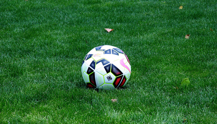 开云APP 开云官网入口塑胶跑道材料有哪几种 塑胶跑道材料有什么几种(图2) 开云APP 开云官网入口塑胶跑道材料有哪几种 塑胶跑道材料有什么几种(图2)