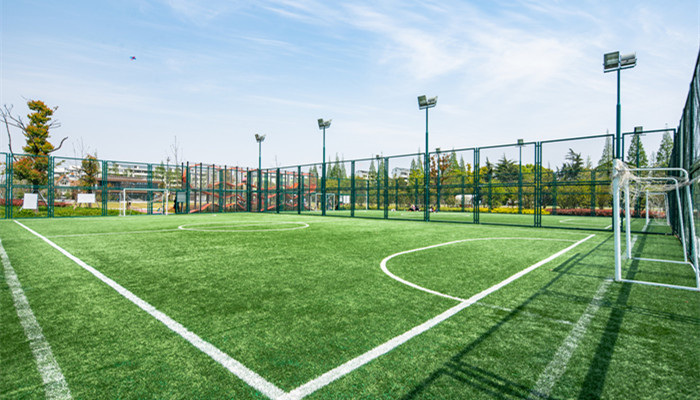 开云APP 开云官网入口塑胶跑道材料有哪几种 塑胶跑道材料有什么几种(图3) 开云APP 开云官网入口塑胶跑道材料有哪几种 塑胶跑道材料有什么几种(图3)