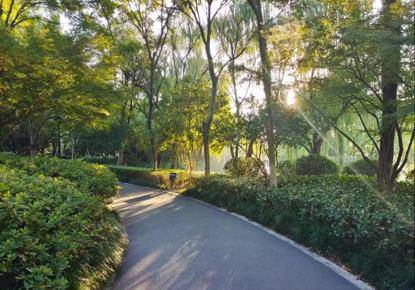 石子路变塑胶跑道散步跑步开云APP 开云官网入口都舒心!