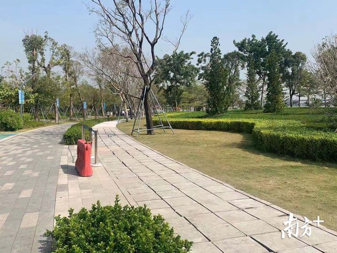 Kaiyun 开云深圳人才公园塑胶跑道被“扒皮”传言跑道换成水泥砖小南调查发现事实(图5)