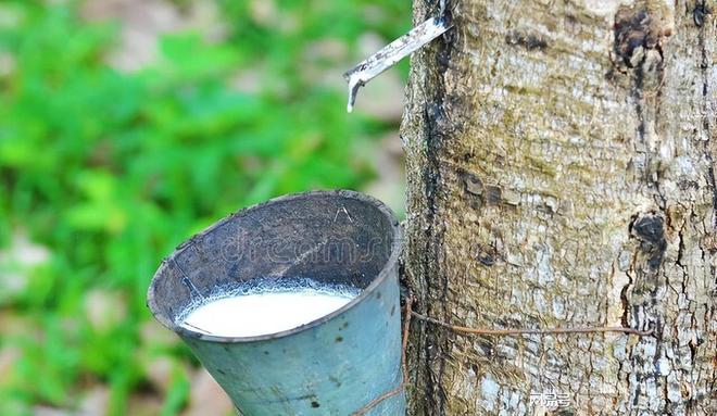 需Kaiyun 开云体育求疲弱、环保趋严 泰国橡胶制品正面临全面挑战