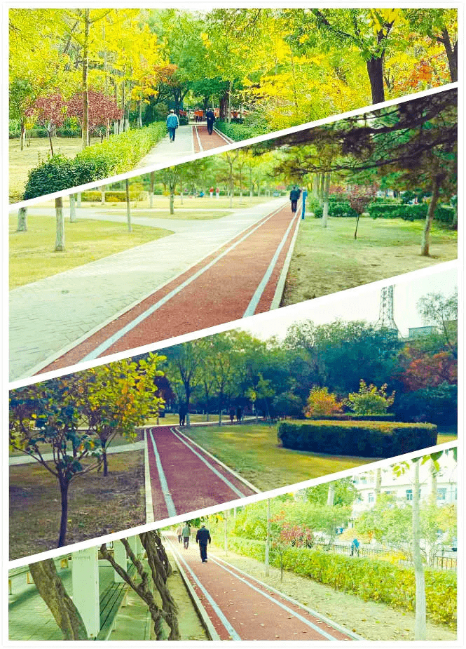 唐山25个公园广场新塑胶跑道已投入使用开云体育 开云平台(图2)