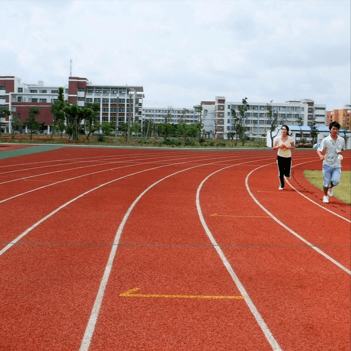 塑胶跑道的Kaiyun 开云结构层(图2)