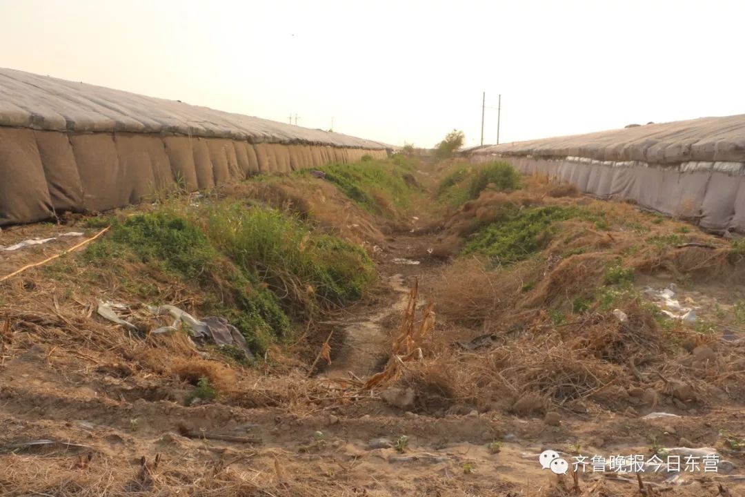 开云体育 开云官网畜禽养殖场乱排乱放、橡胶轮胎厂异味刺鼻……五一期间东营查出这些环保问题……(图4)