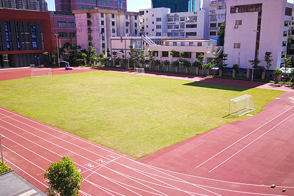 Kaiyun 开云体育塑胶跑道类型你知道哪些？
