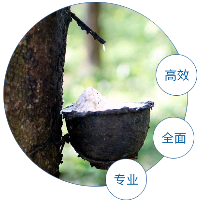 P开云 开云体育官网RODUCT