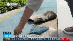 开云 开云体育平台业主戏称塑胶跑道“不如煎饼果子牢固”！(图3)