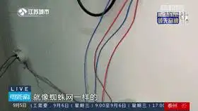 开云体育 Kaiyun.com 官网入口业主戏称塑胶跑道“不如煎饼果子牢固”！刚交付半年的小区问题有点多！(图8)