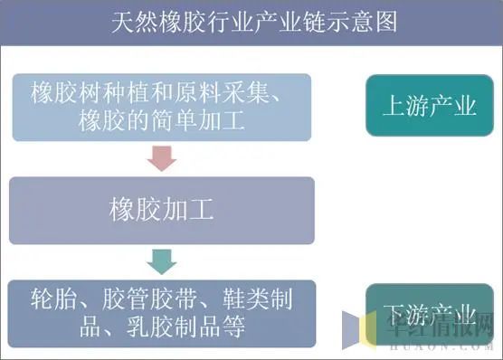 2019年中国天然橡胶产量受下游需求低迷影响进口量明开云 开云体育平台显下滑「图」