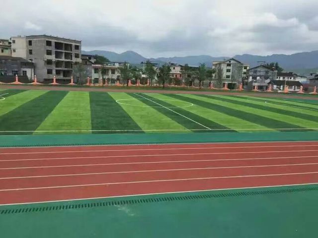 塑胶跑道厂家丨蓝Kaiyun 开云体育色跑道为什么是体育生的信仰？(图3)