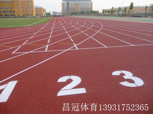 河南省塑胶跑道厂家排开云体育 开云平台名(图2)