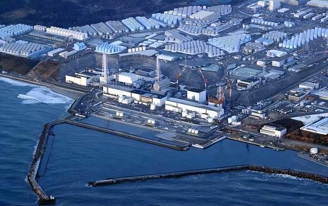 日本核污水排海后突然开开云体育 开云官网始抢购天然橡胶日本为什么要抢橡胶？(图4)