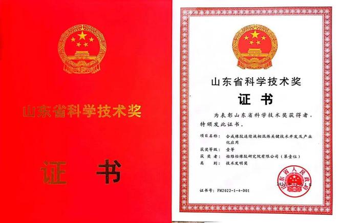 开云 开云体育官网山东省技术发明一等奖：液体黄金轮胎(图2)