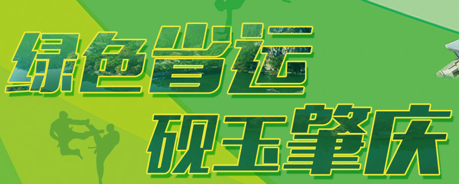开云 开云体育平台铺设环保塑胶跑道助力2018年广东省第十五届运动会(图2)