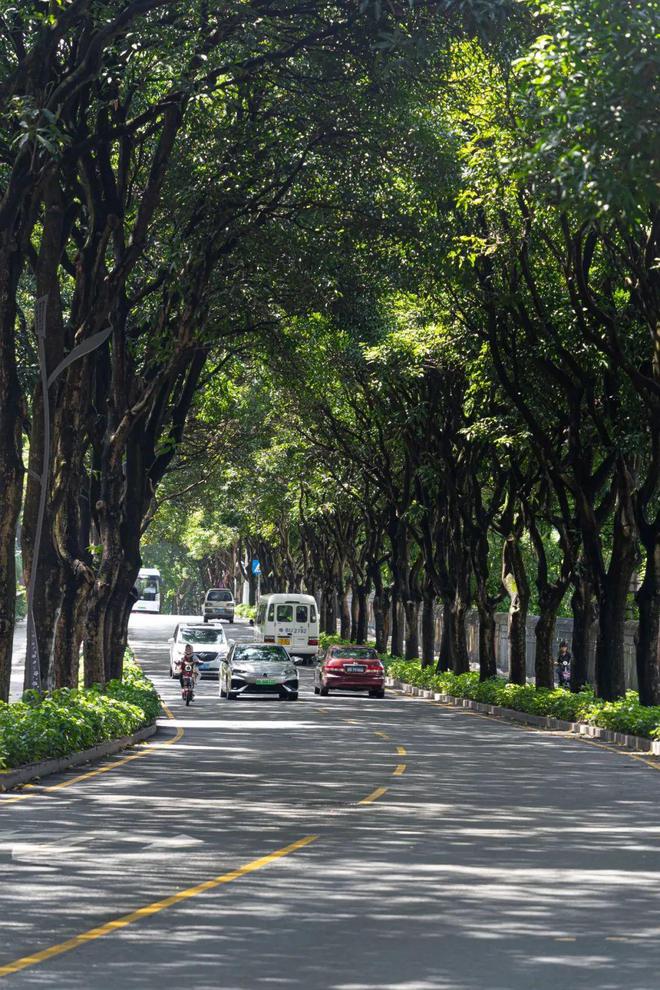 深Kaiyun 开云圳第一批富豪住的地方太低调了！(图5)