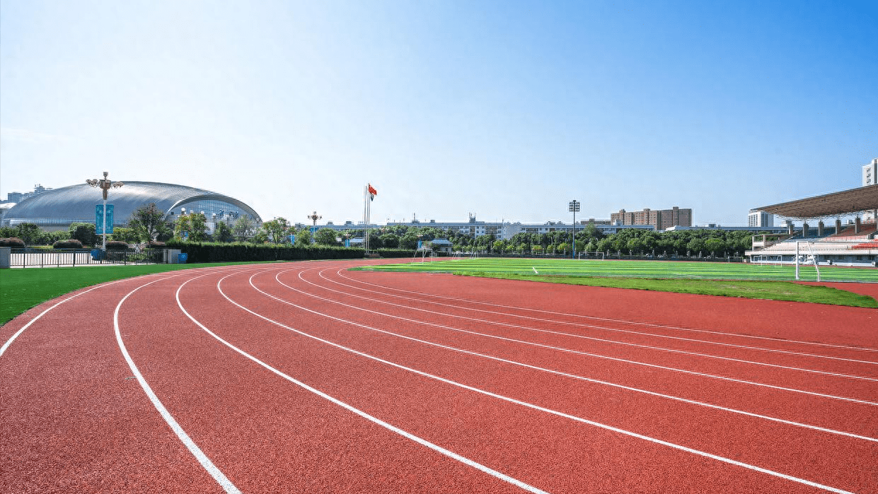 开云体育 Kaiyun.com 官网入口各种塑胶跑道结构是怎样
