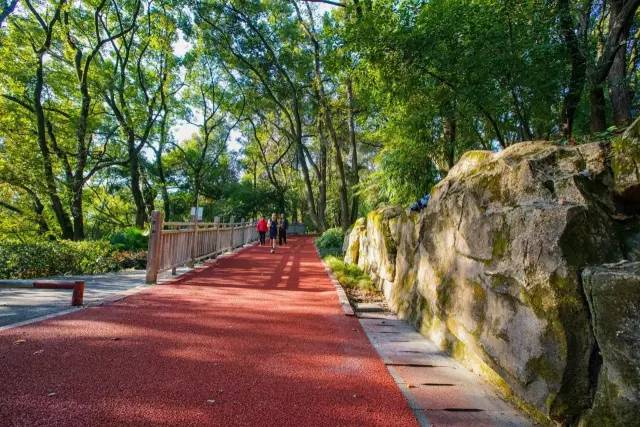 福建：登高山公园塑胶跑道270万选用EPDM颗粒Kaiyun 开云(图2)