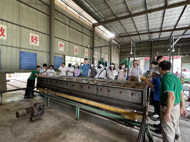 开云 开云体育平台中国橡胶工业协会考察团到云胶景阳公司交流学习(图2)