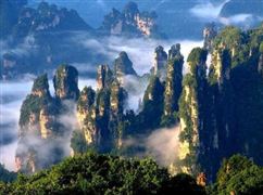开云体育 Kaiyun.com 官网入口未来橡胶价格有望涨势依旧 2021橡胶制品行业发展前景及市场进出口现状分析(图2)